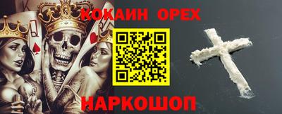 стаф Гатчина