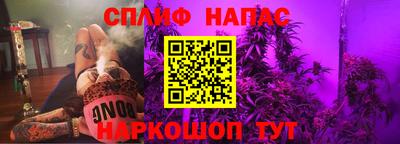 стаф Гатчина