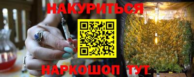 стаф Гатчина