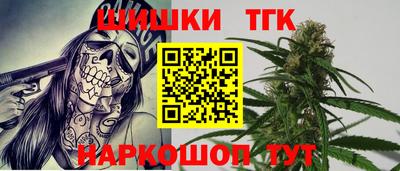 стаф Гатчина