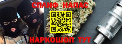 стаф Гатчина