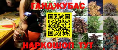 apvp Гай