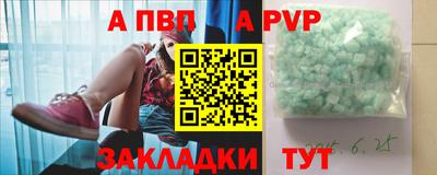 стаф Гатчина