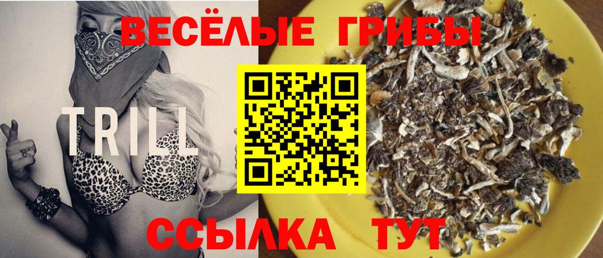 Калуга  Галлюциногенные грибы мухоморы  Вход с VPN 